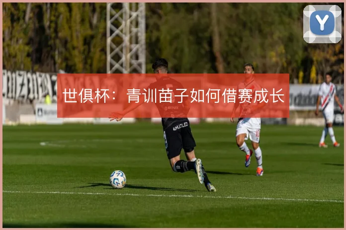 世俱杯:青训苗子如何借赛成长
